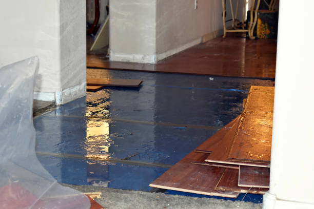 Professional Burst Pipe Cleanup technician working in Riverside, MO